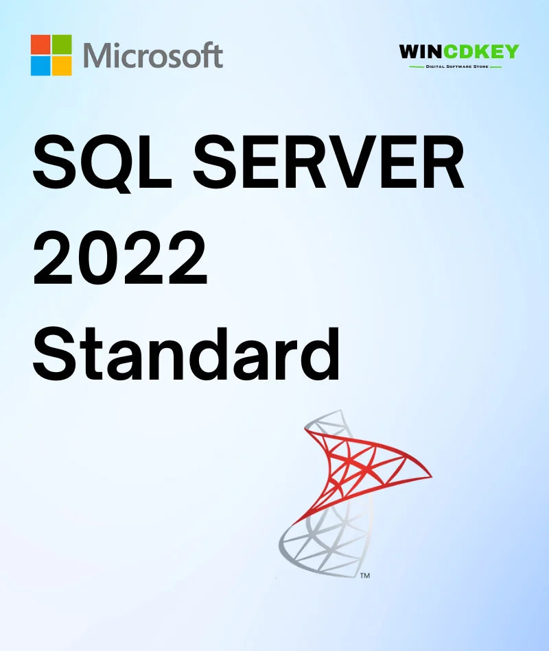 Microsoft SQL Server 2022 Standard-Lifetime License image 0