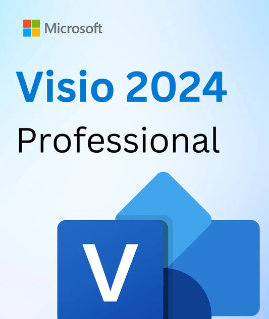 Microsoft Visio 2024 Professional LTSC Global image 0