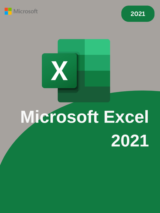 Microsoft Excel 2021 for Mac image 0