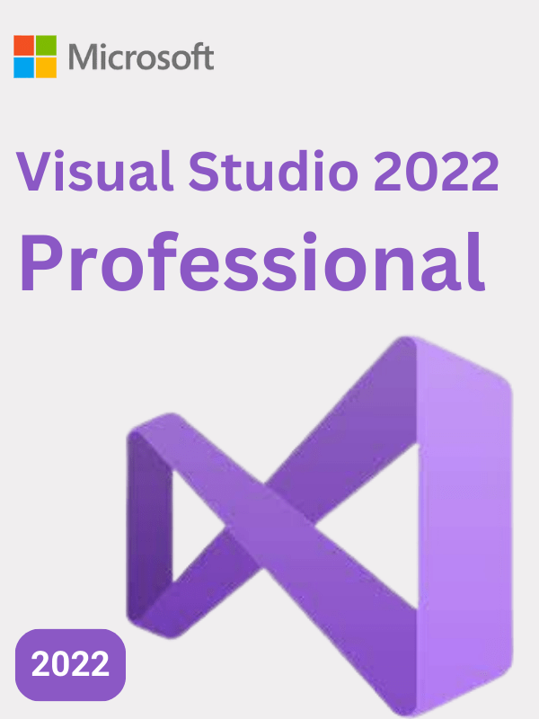 Visual Studio Professional 2022 - Retail Key image 0