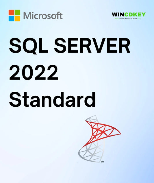 Microsoft SQL Server 2022 Standard-Lifetime License image 0