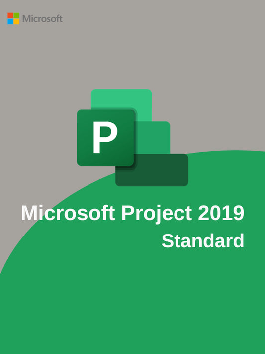 Buy Microsoft Project Standard 2019 CD Key – License image 0