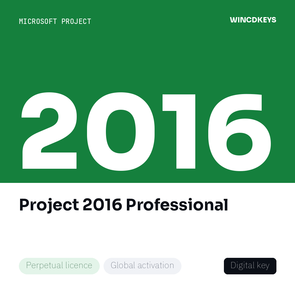 Project 2016 Professional