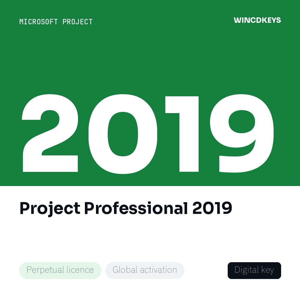 Project Professional 2019