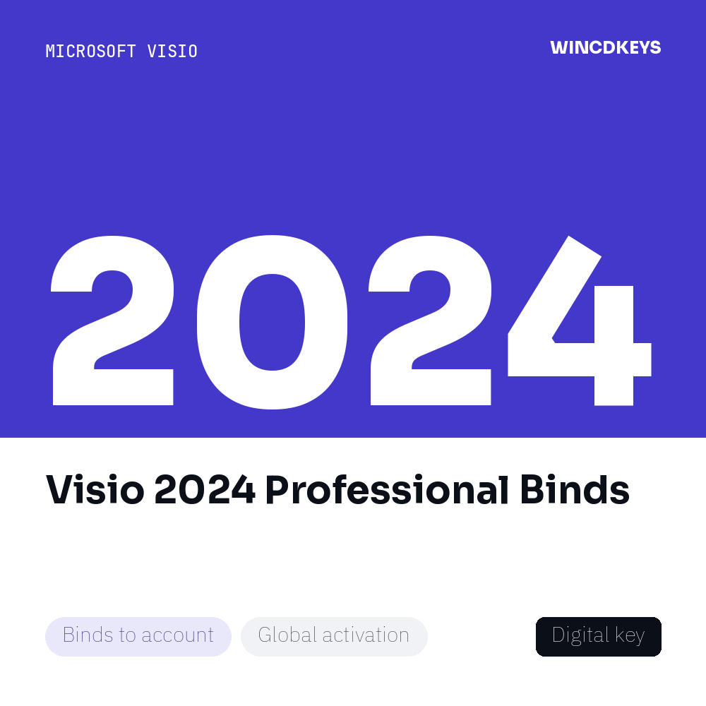 Visio 2024 Professional Binds
