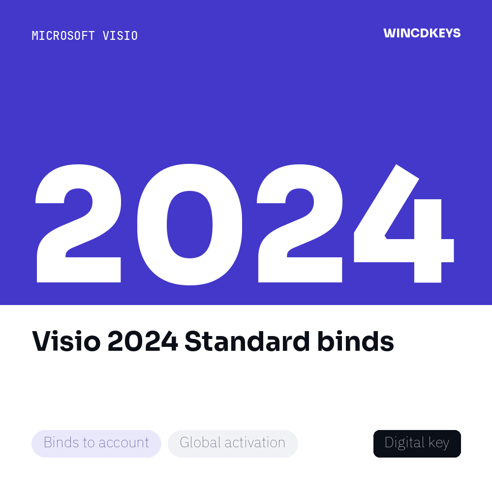 Visio 2024 Standard binds