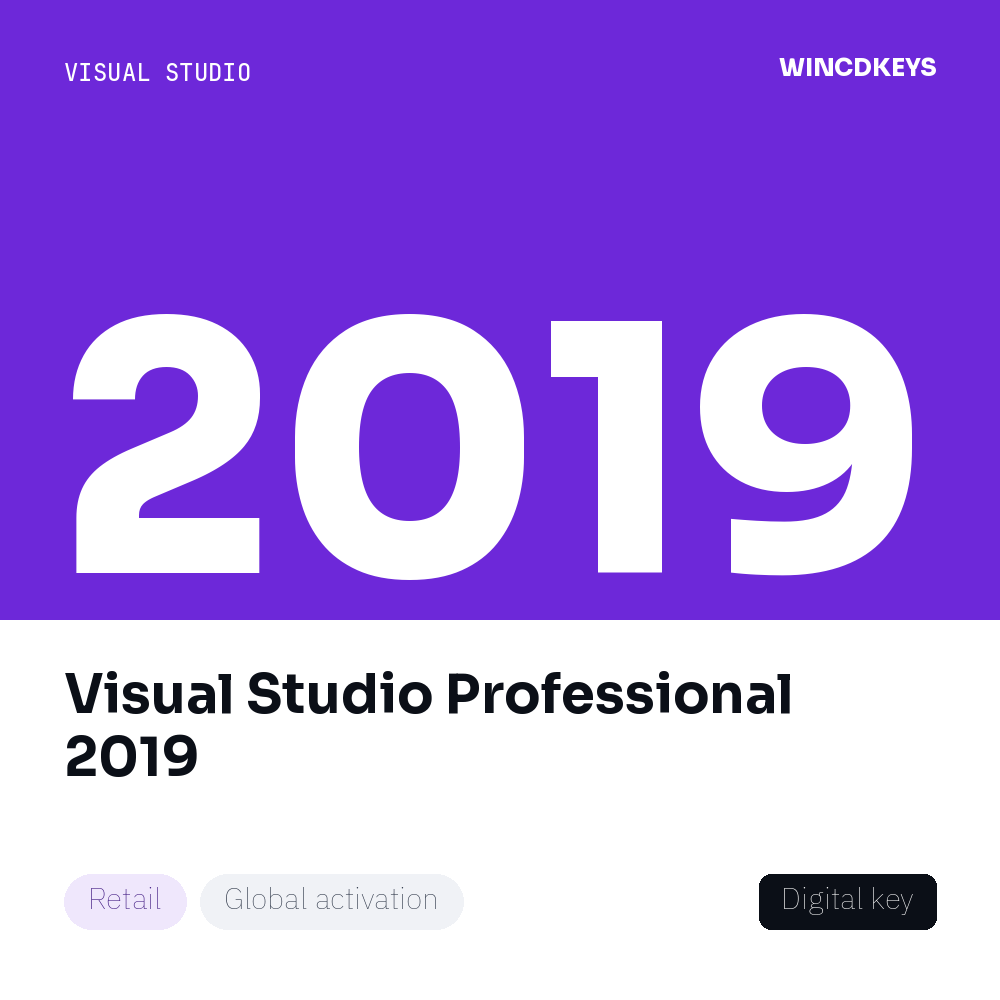 Visual Studio Professional 2019