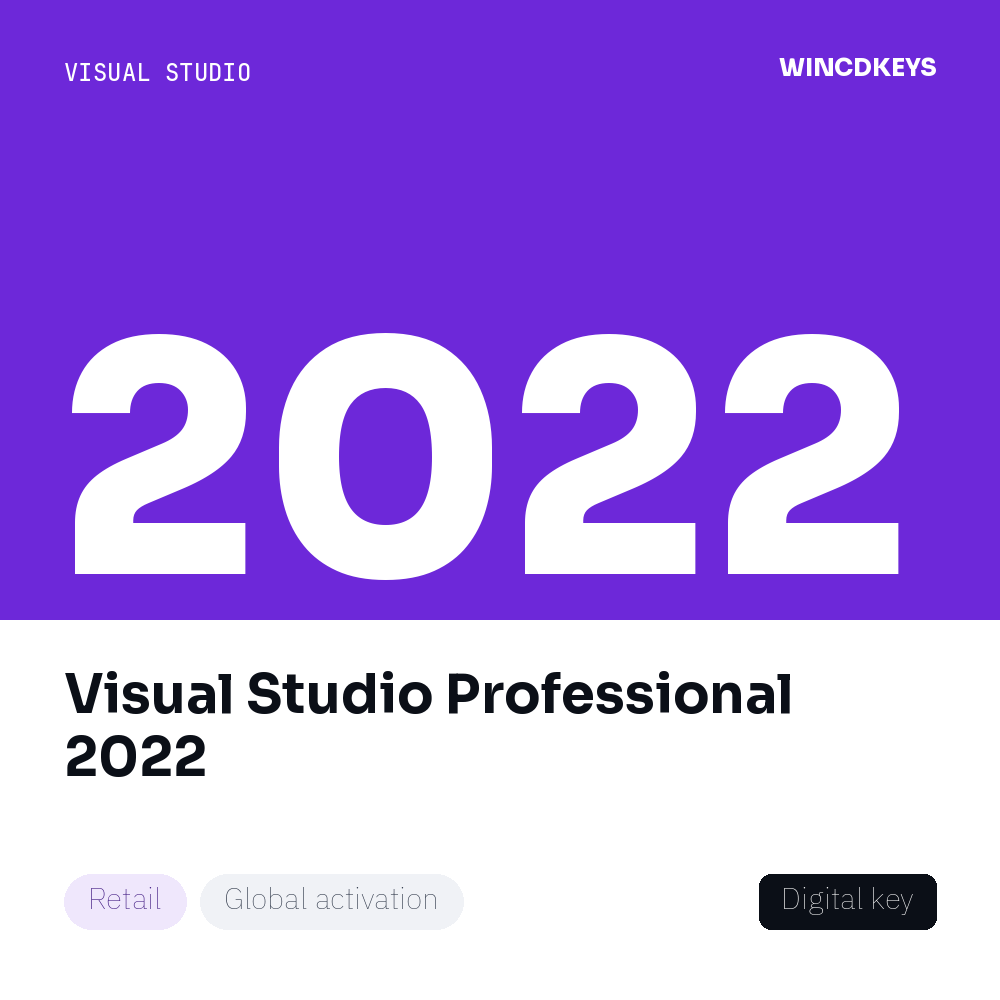Visual Studio Professional 2022