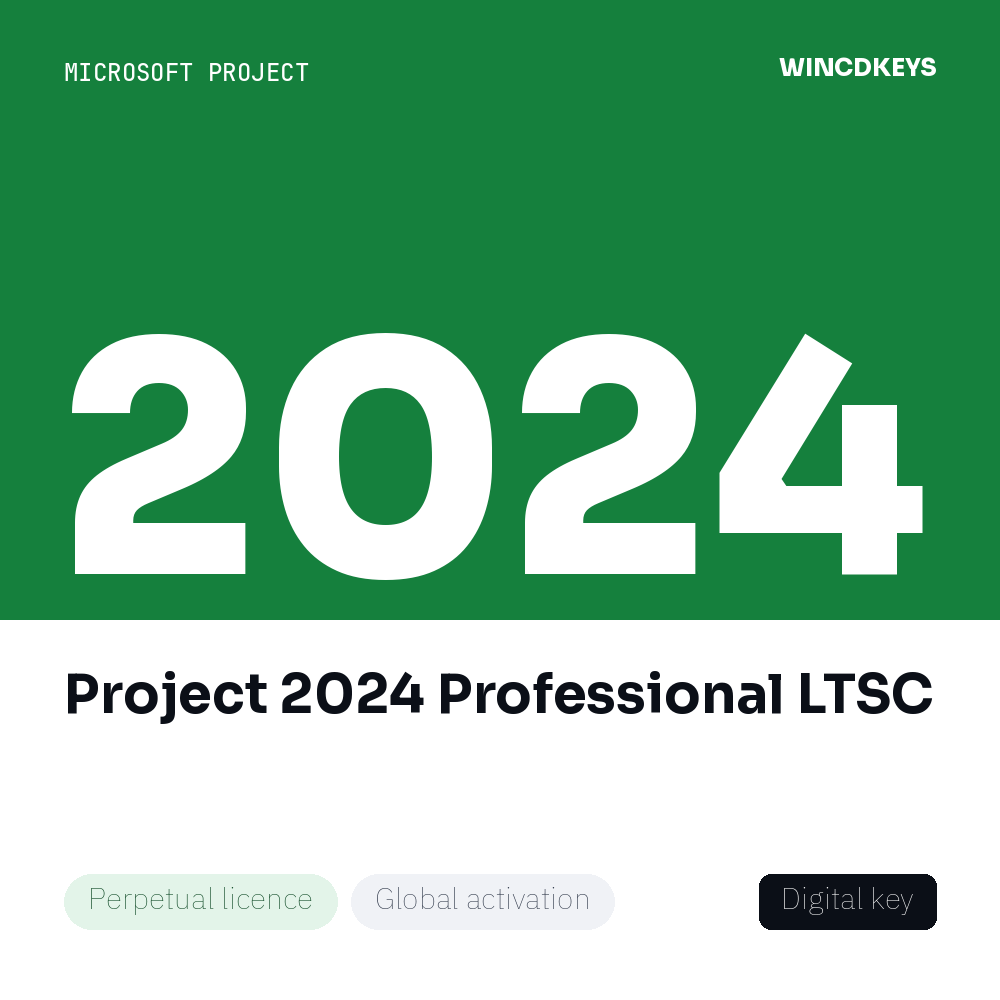 Project 2024 Professional LTSC