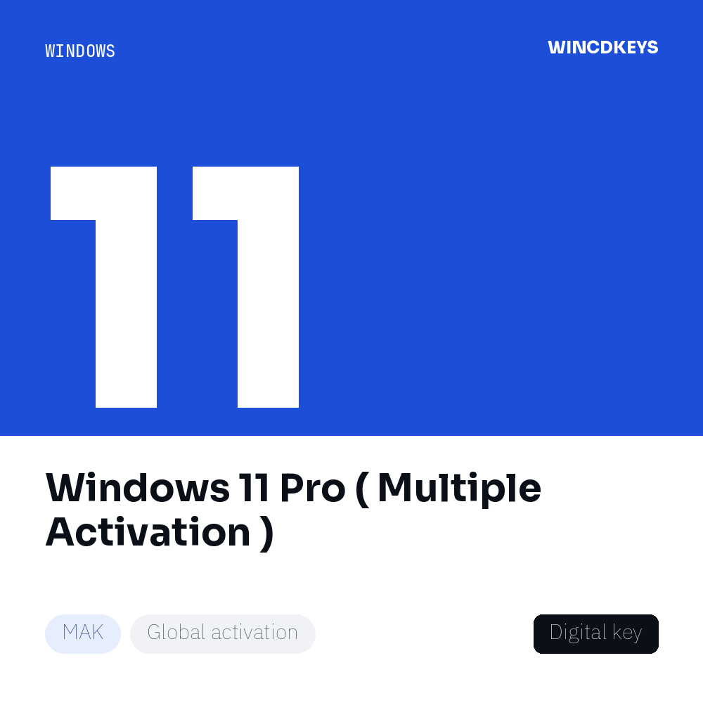 Windows 11 Pro ( Multiple Activation )