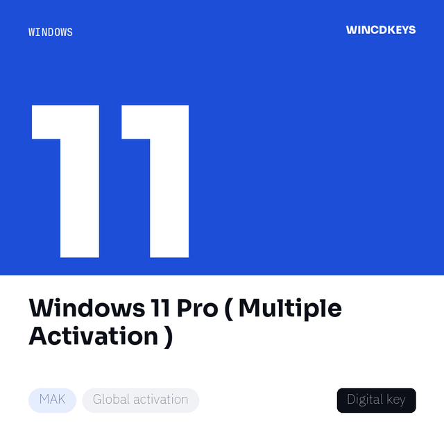 Windows 11 Pro ( Multiple Activation )