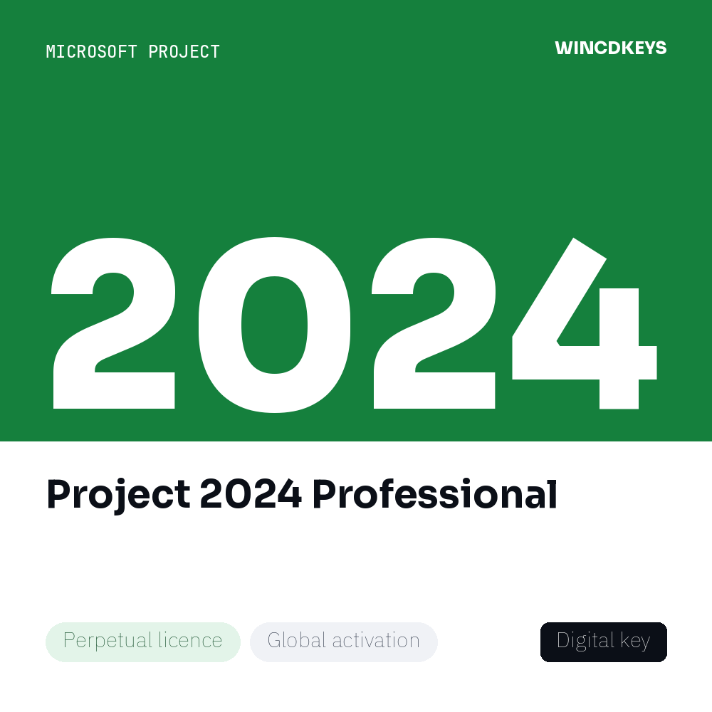 Project 2024 Professional