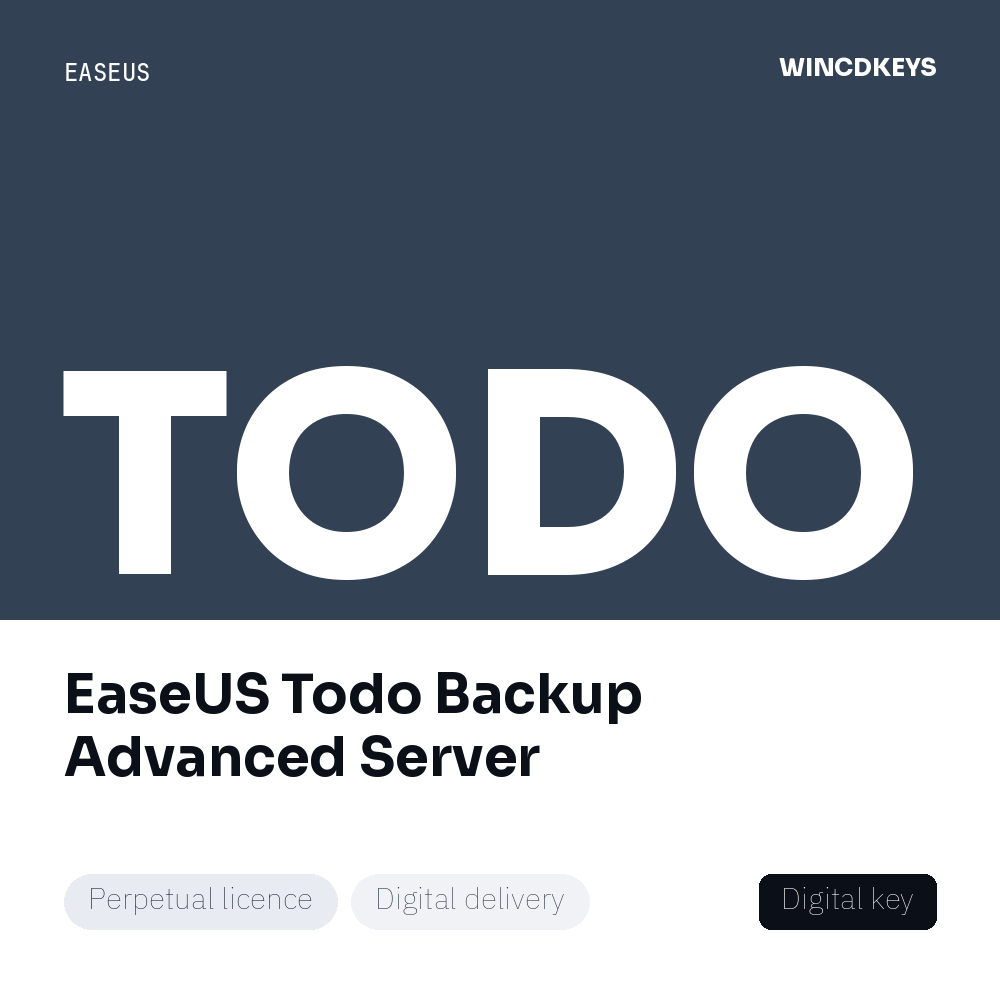EaseUS Todo Backup Advanced Server